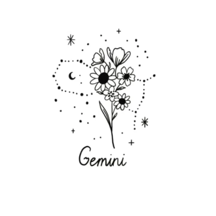 Gemini Star Sign Journal