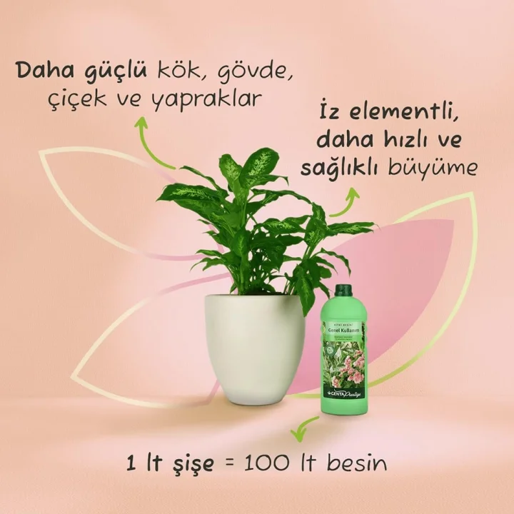 Genel Kullanım Sıvı Bitki Besini Sıvı Gübre 1000 ml