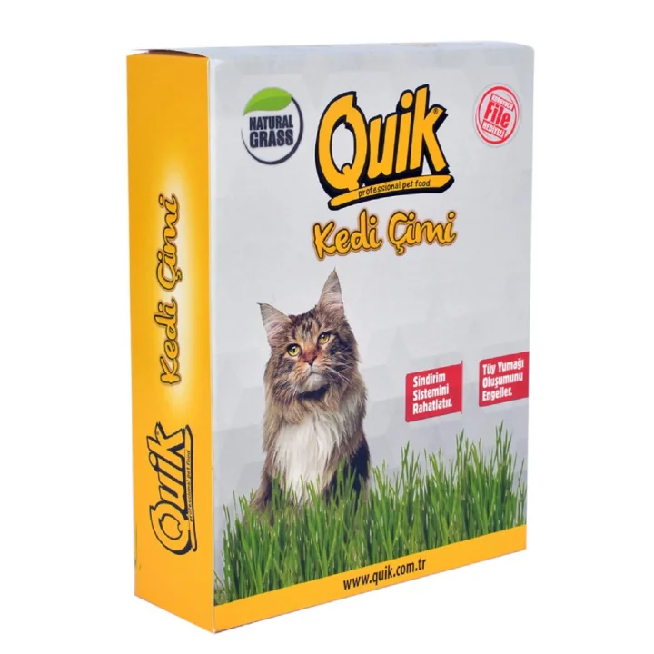 Gerçek Topraklı Kedi Çimi