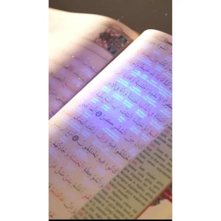 Gizli Satır Arası Kelime Kelime Türkçe Okunuşlu Mealli Kuranı Kerim, Sesli, Cami Boy, Siyah