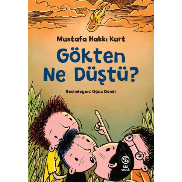 Gökten Ne Düştü?