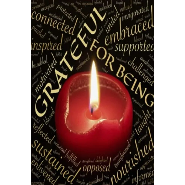 Gratitude Journal: Daily Gratitude Journal