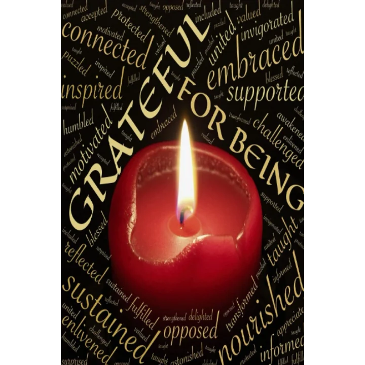Gratitude Journal: Daily Gratitude Journal