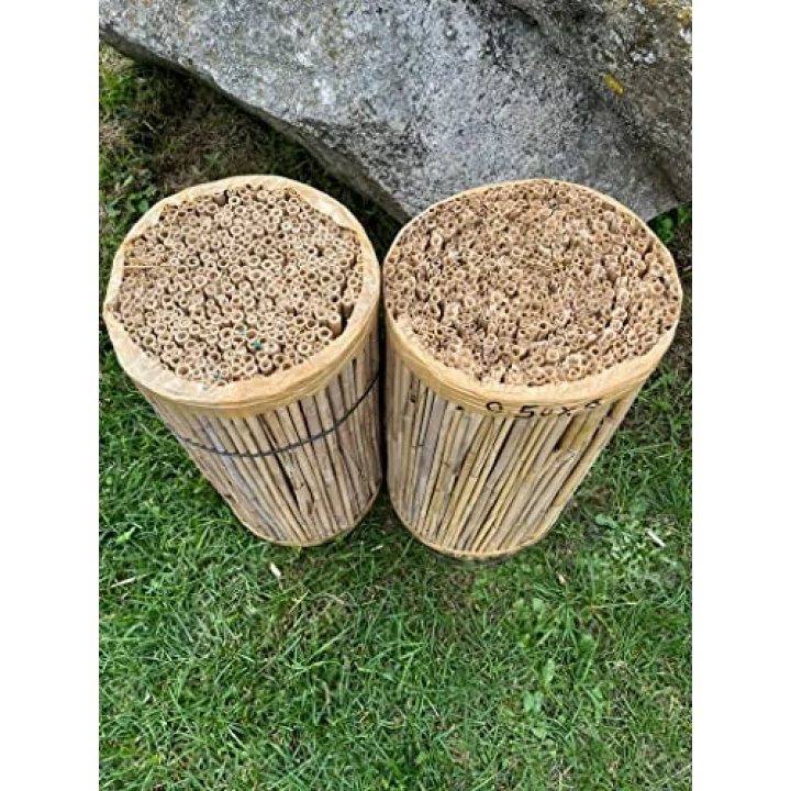 Greenosier 1mX3m hasır kamış çit