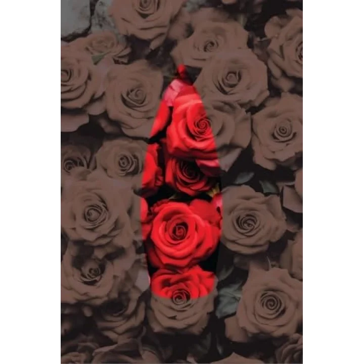 Gül Kokulu Geri Akış Tütsüsü konik Tütsü Rose Backflow Incense Cones 10 Adet