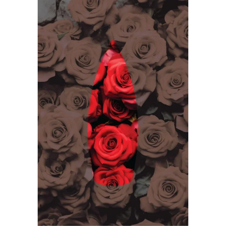 Gül Kokulu Geri Akış Tütsüsü konik Tütsü Rose Backflow Incense Cones 10 Adet