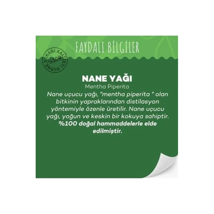 Gurme Sokağı Nane Yağı 10 Ml
