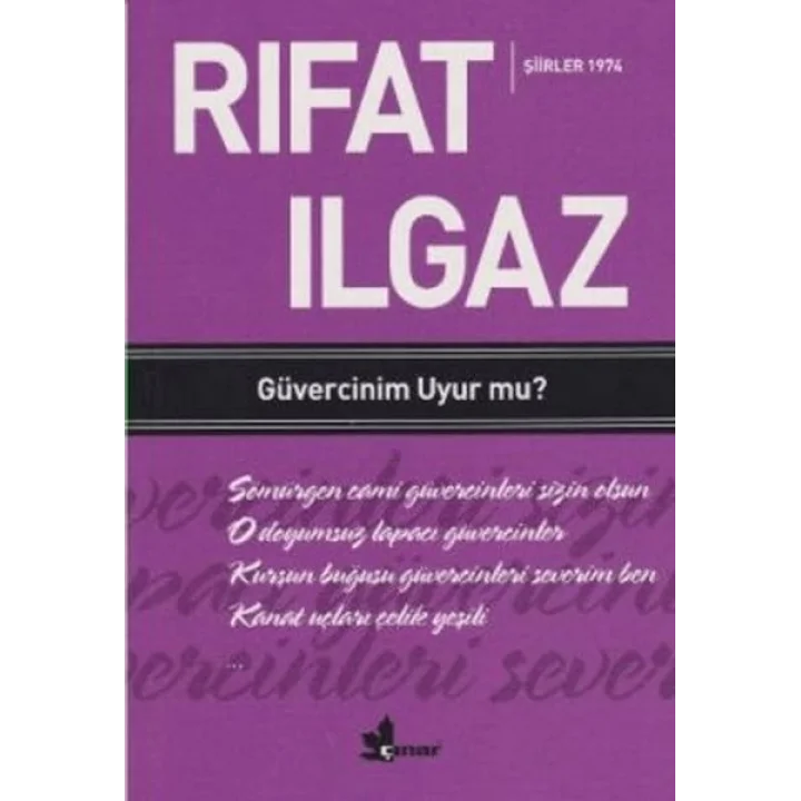 Güvercinim Uyur mu ?