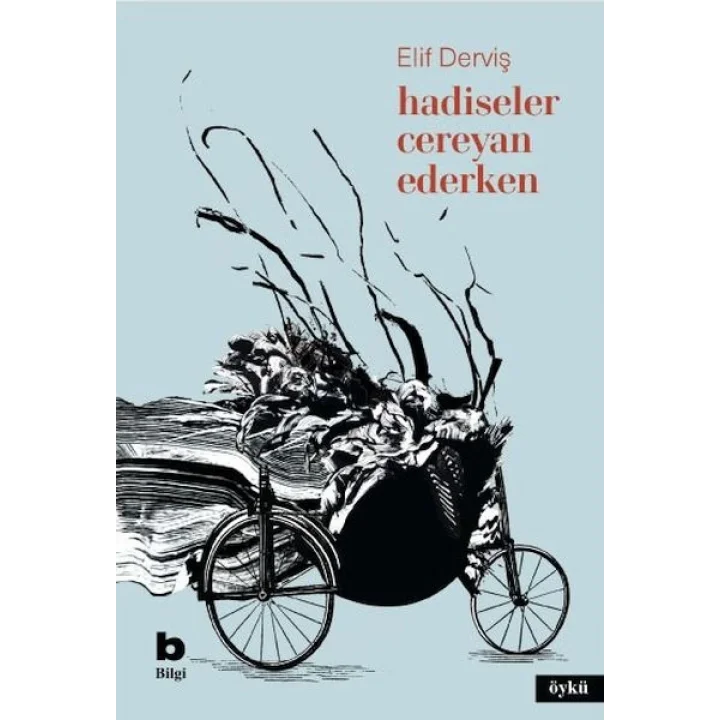 Hadiseler Cereyan Ederken