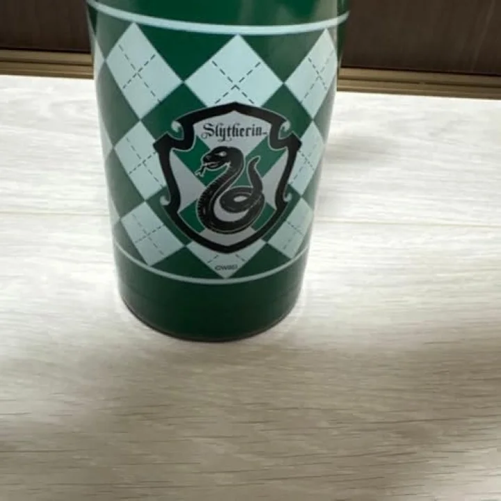 Harry Potter Lisanslı, Uçlu Termos, 600 ml Kapasite, Yeşil
