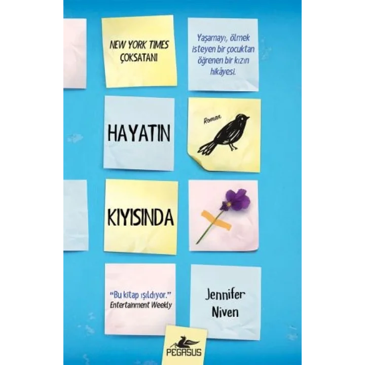 Hayatın Kıyısında (Ciltli)