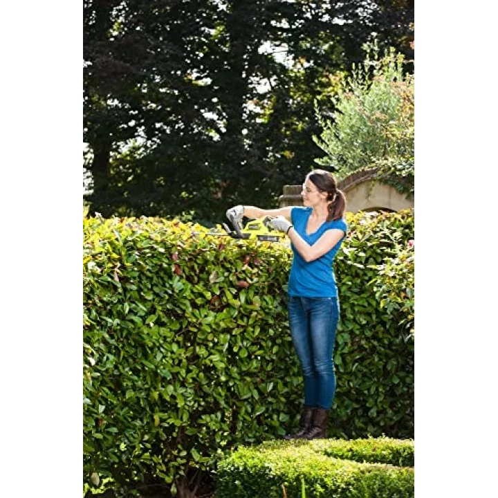 Hedge Trimmer 18V - 45 cm - 1 battery 2,0Ah