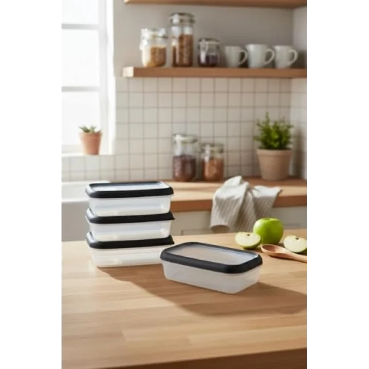 Hide Plus 4Lü Saklama Kabı Siyah (4X 0,70 Lt)