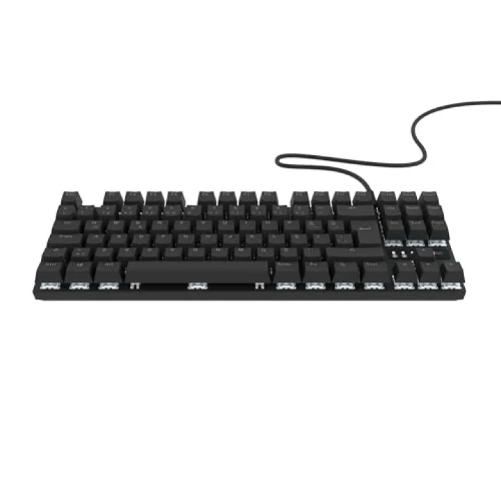 HK410 Mekanik Switch 19 Mod RGB Kablolu Siyah TKL Türkçe Gaming Klavye (Mavi Switch)