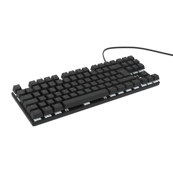 HK410 Mekanik Switch 19 Mod RGB Kablolu Siyah TKL Türkçe Gaming Klavye (Mavi Switch)