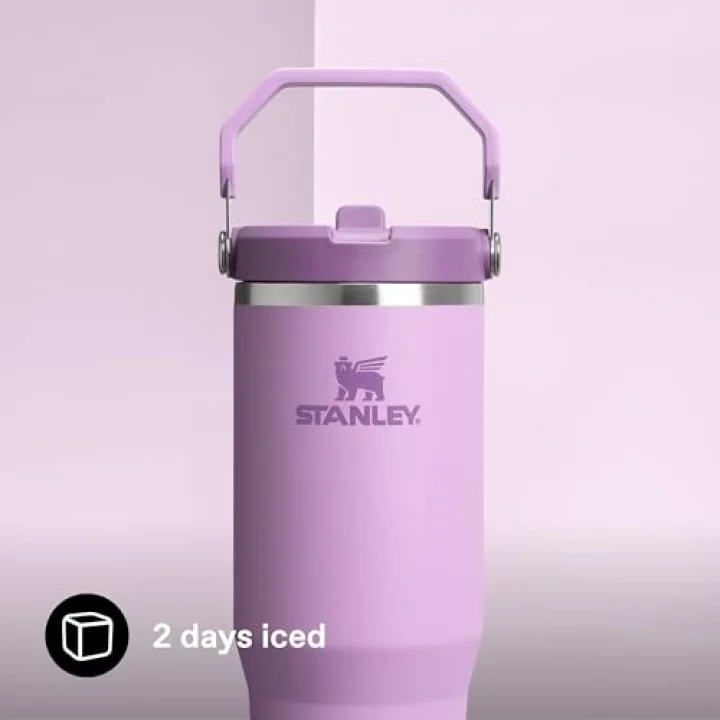 IceFlow Flip Straw Tumbler Pipetli Termos Bardak, 0.89 L