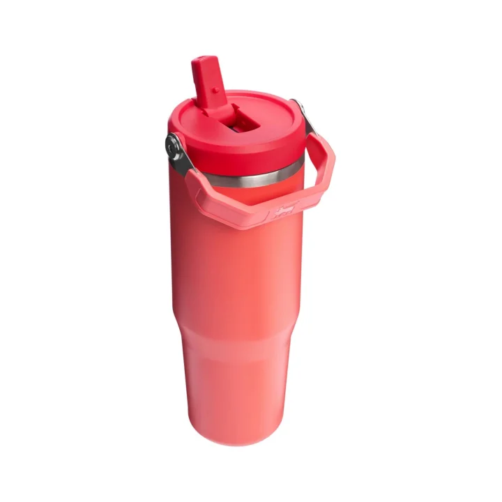 IceFlow Flip Straw Tumbler Pipetli Termos Bardak, 0.89 Litre, Mercan (Hot Coral)