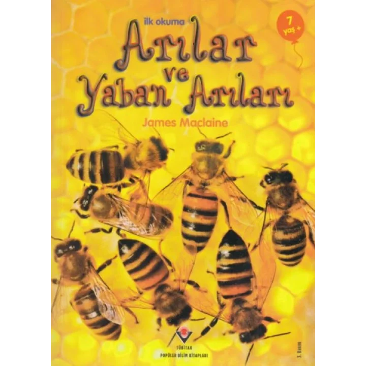 İlk Okuma - Arılar ve Yaban Arıları