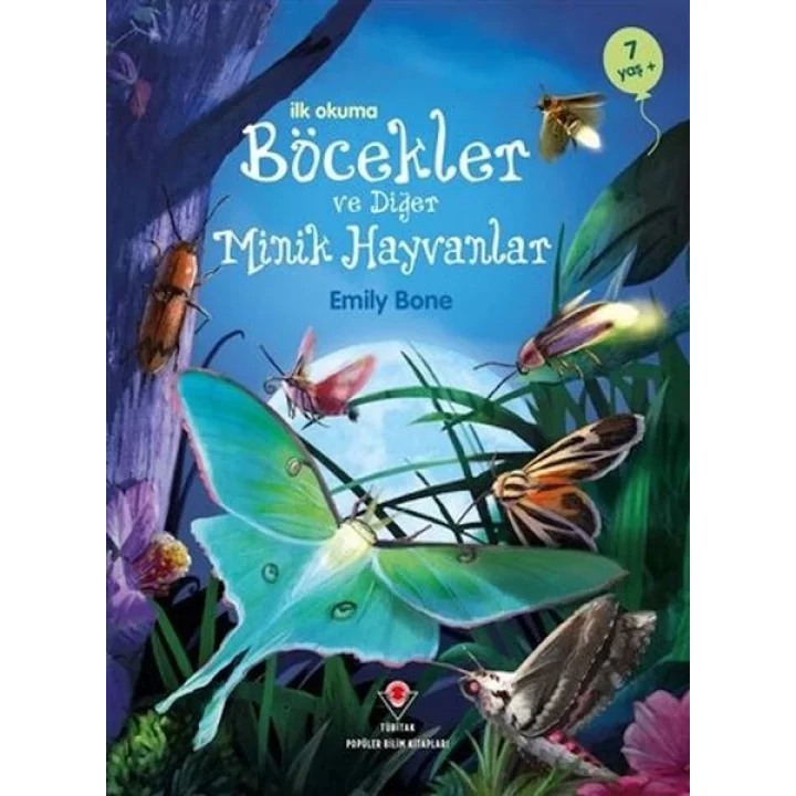 İlk Okuma - Böcekler ve Diğer Minik Hayvanlar