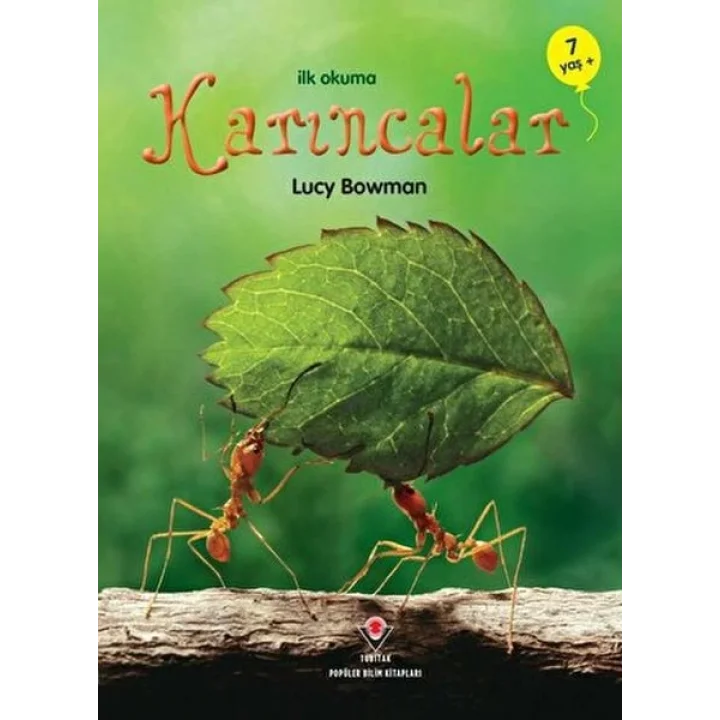 İlk Okuma - Karıncalar