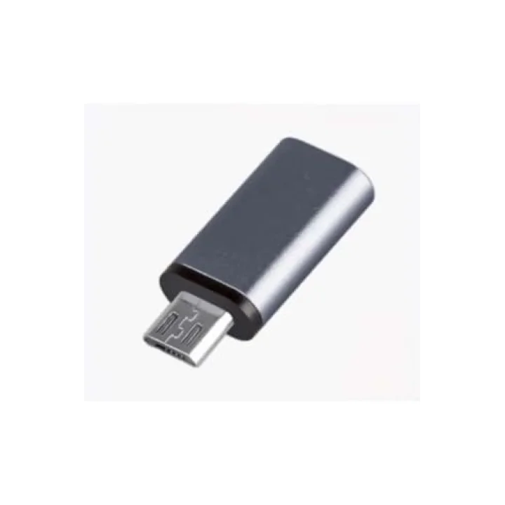İMEXTECH BİLİŞİM BURADA ZR352 TYPE-C to Micro Çevirici Mini Adaptör, Gri BBZR352