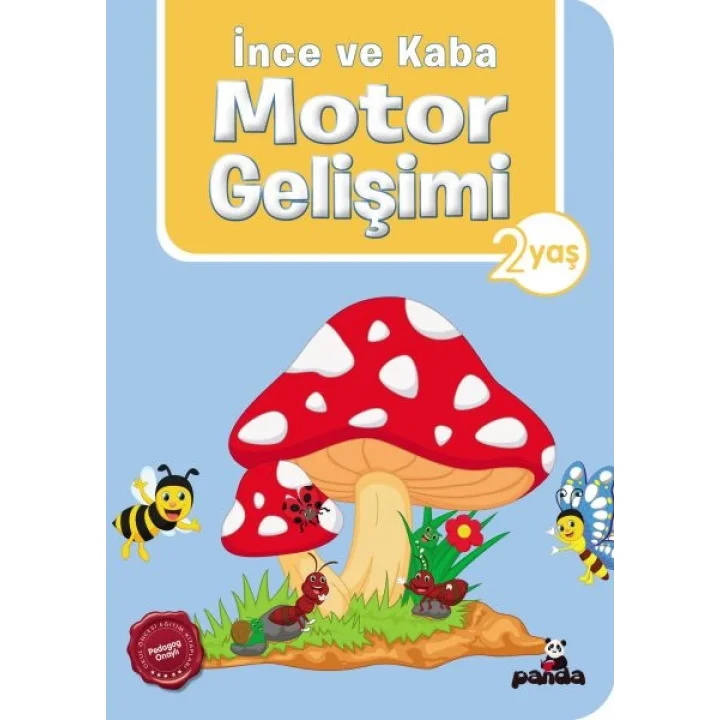 İnce ve Kaba Motor Gelişimi 2 Yaş