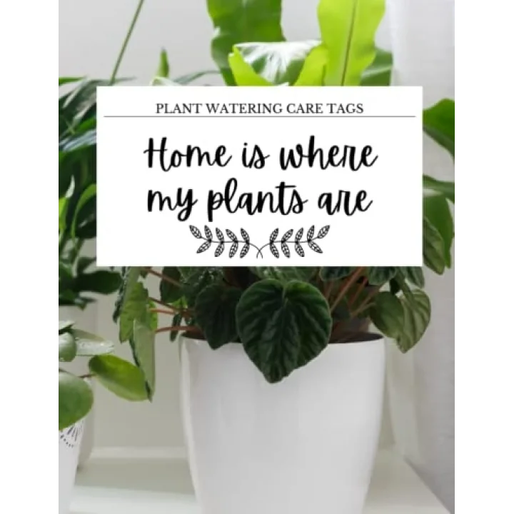 Independently published Plant watering reminder label instructions: Book of cut out labels - write plant care instructions for your plant sitters while youre away