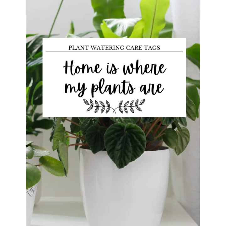 Independently published Plant watering reminder label instructions: Book of cut out labels - write plant care instructions for your plant sitters while youre away