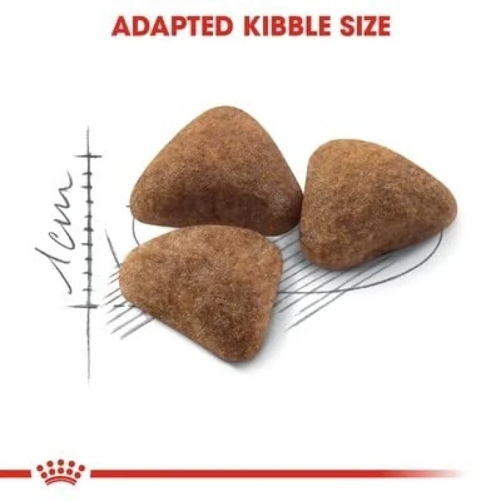 Indoor 27 Kuru Kedi Maması 2 kg