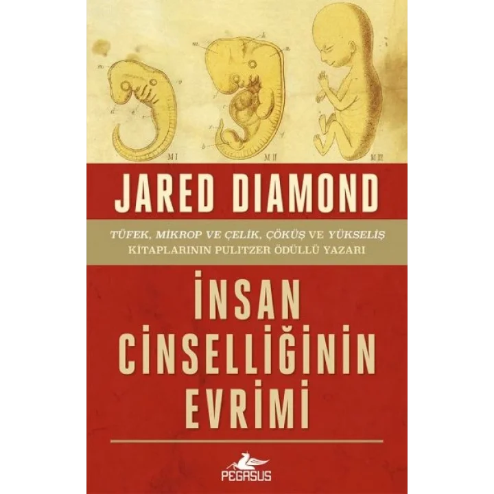 İnsan Cinselliğinin Evrimi - Ciltsiz