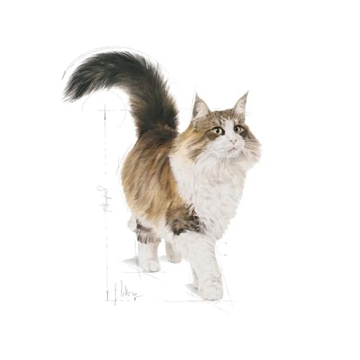 İnstinctive Jelly Yetişkin Kedi Konserve 85 Gr