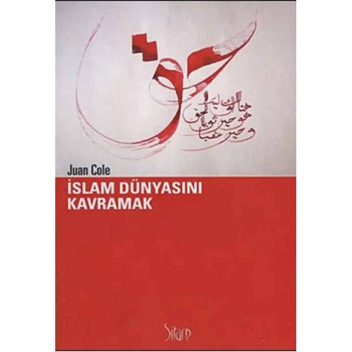 İslam Dünyasını Kavramak