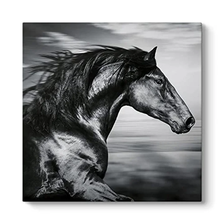 İspanyol Koşu Atı Kanvas Tablo 30 x 30