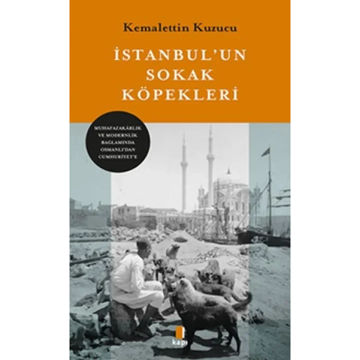 İstanbul’un Sokak Köpekleri