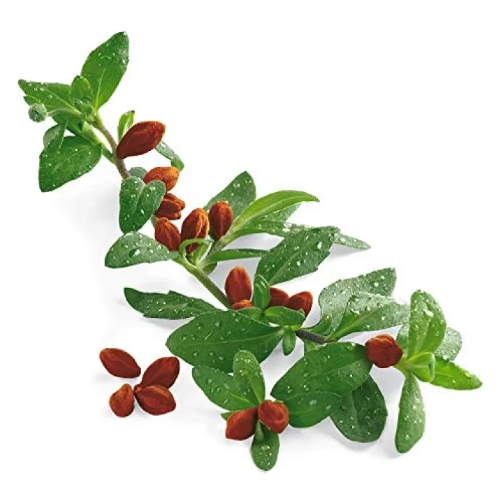 Jojoba Yağı 20ml.