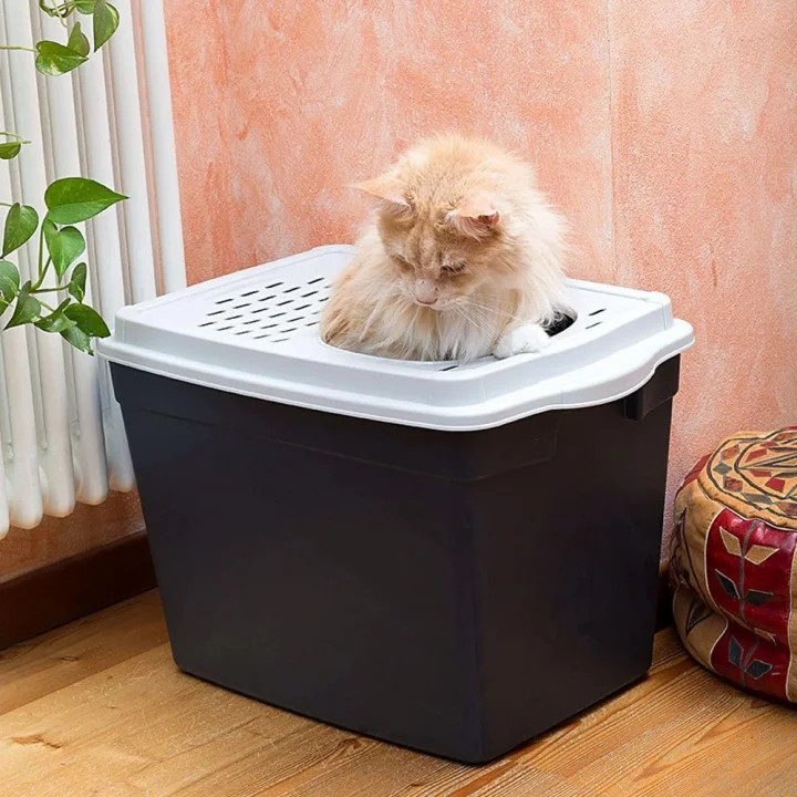JUMPY KEDİ TUVALETİ