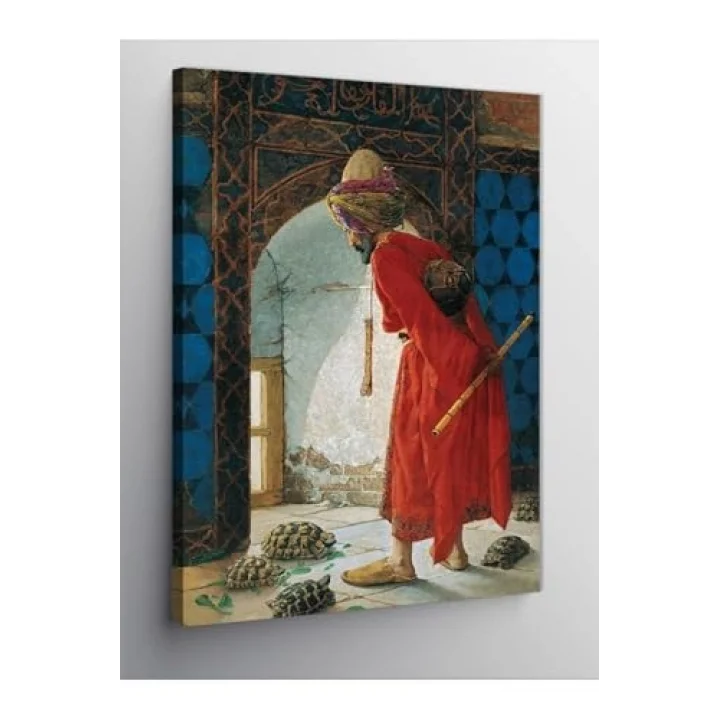 Kanvas Tablo Kaplumbağa Terbiyecisi, 50cm x 70cm
