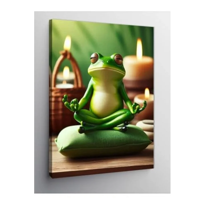 Kanvas Tablo Meditasyon Yapan Kurbağa 70 X 100 Cnvsdkey-116399-70-100