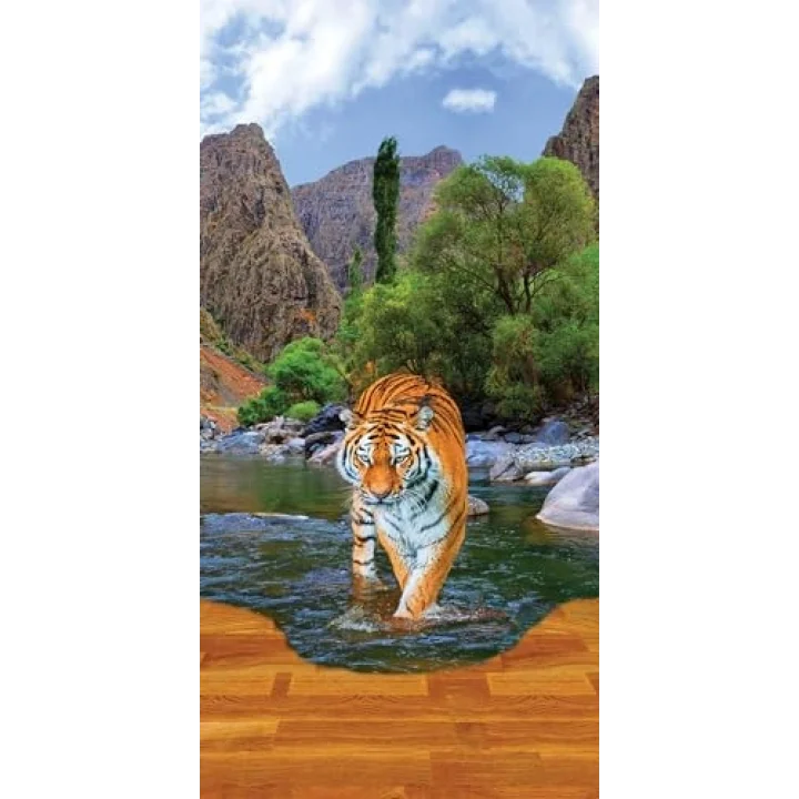 Kapı Giydirme Kapı Sticker Folyosu Kaplan
