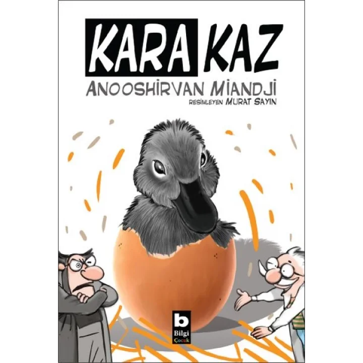Kara Kaz