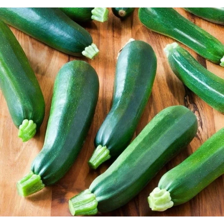 KARA KOLSUZ KABAK (ÇOKLU TOHUM) - 5 Gram