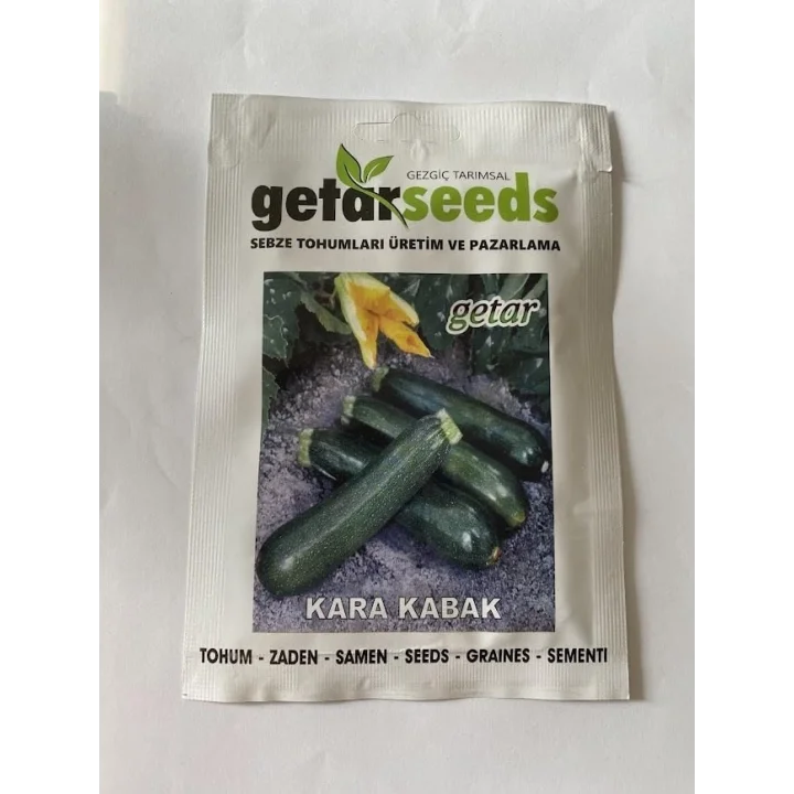 KARA KOLSUZ KABAK (ÇOKLU TOHUM) - 5 Gram