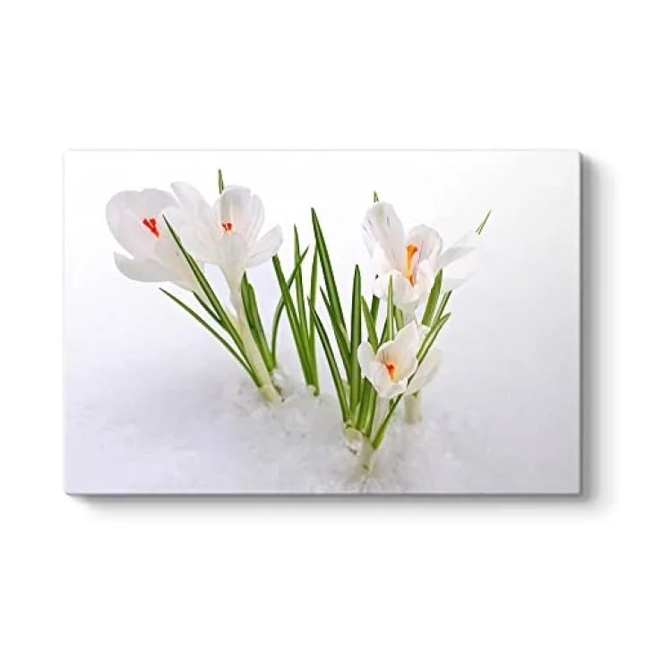 Kardelen Çiçeği Kanvas Tablo 45 x 30