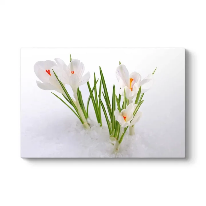 Kardelen Çiçeği Kanvas Tablo 45 x 30