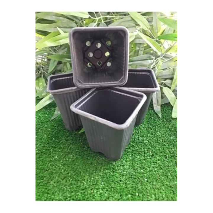 Kare Saksı 8x8x9 cm, 70 Adet, Vakumlu, Siyah