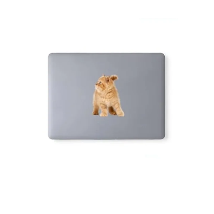 Karışık 130 adet sevimli kediler notebook, tablet, telefon sticker seti (10 sayfa) Tek Ebat