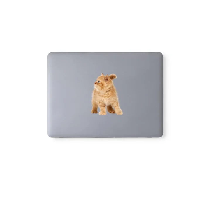 Karışık 130 adet sevimli kediler notebook, tablet, telefon sticker seti (10 sayfa) Tek Ebat