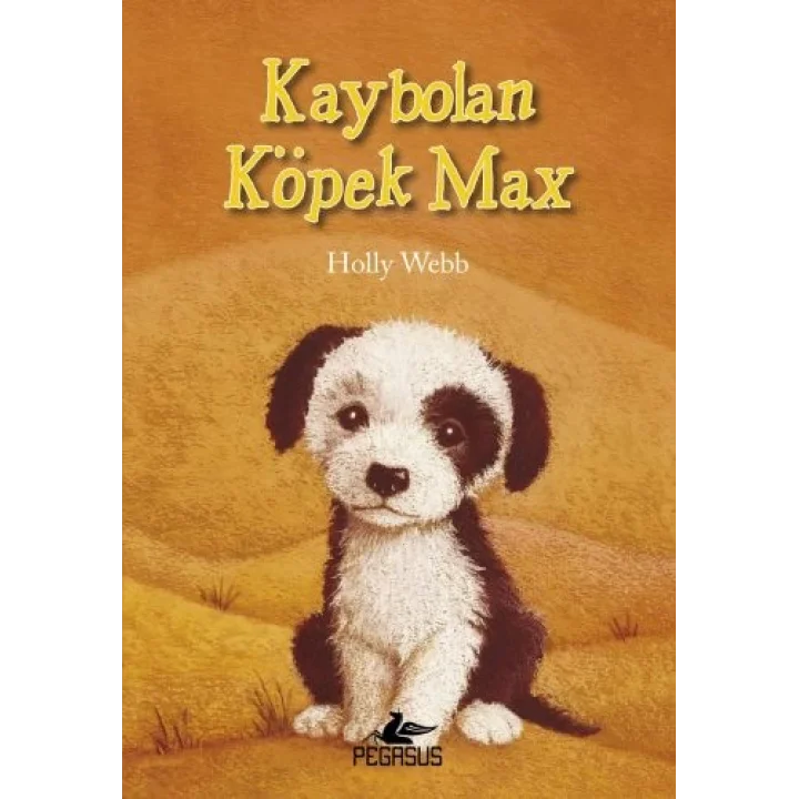 Kaybolan Köpek Max