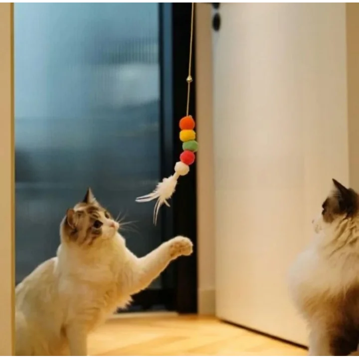 Kedi Oltası (Elastik)