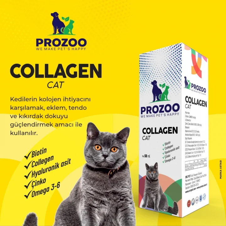 Kediler için Kolajen Damla 50 ml